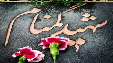 ارتباط فردا
