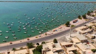 ارتباط فردا