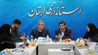 تخصصی کردن و توانمندسازی سمن‌ها در لرستان ضروری است