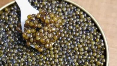 ارتباط فردا