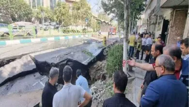 ارتباط فردا