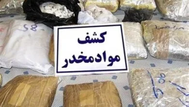 ارتباط فردا