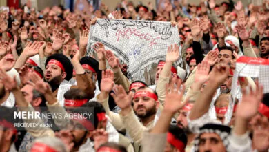 ارتباط فردا