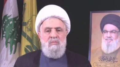 ارتباط فردا