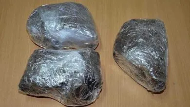 ارتباط فردا