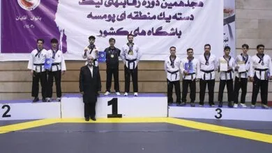 ارتباط فردا
