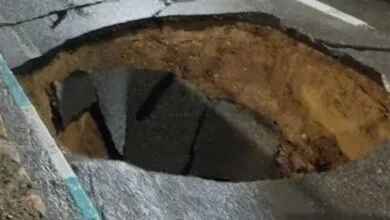 ارتباط فردا