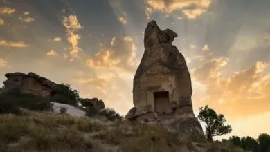 ارتباط فردا