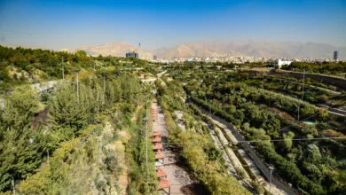 ارتباط فردا