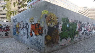 ارتباط فردا