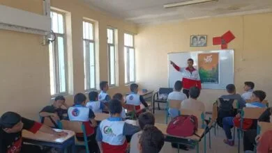 ارتباط فردا