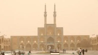 ارتباط فردا