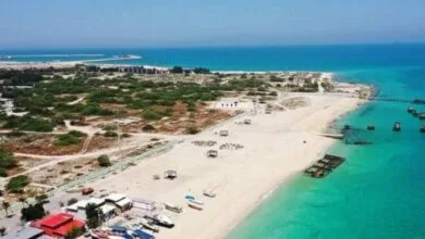 ارتباط فردا