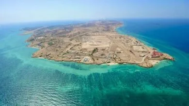 ارتباط فردا