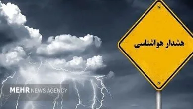 ارتباط فردا