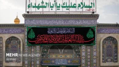 ارتباط فردا