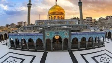 ارتباط فردا
