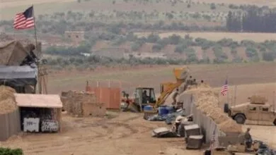 ارتباط فردا
