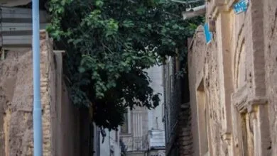 ارتباط فردا