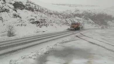 ارتباط فردا
