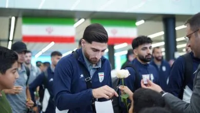 ارتباط فردا