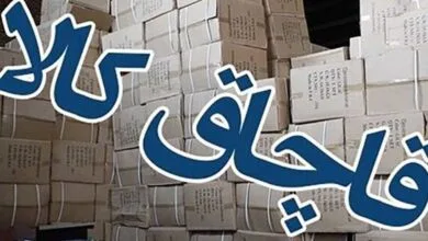 ارتباط فردا