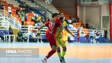 ارتباط فردا