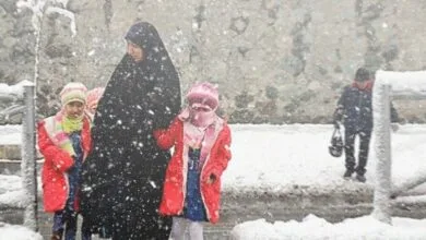 ارتباط فردا