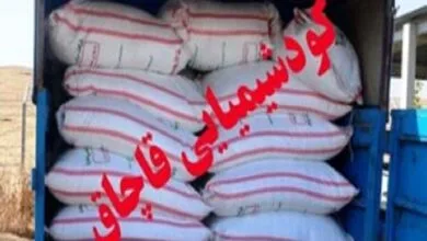 ارتباط فردا