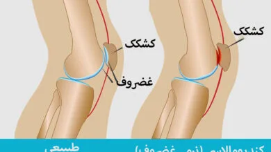 ارتباط فردا