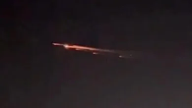 ارتباط فردا