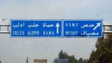 ارتباط فردا