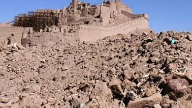 ارتباط فردا