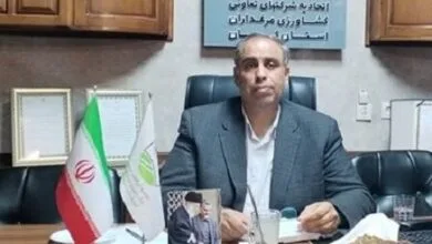ارتباط فردا