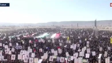 ارتباط فردا