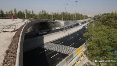 ارتباط فردا