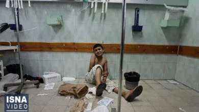 ارتباط فردا