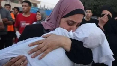 ارتباط فردا