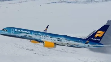 4858984.jpg