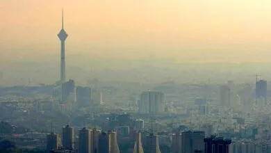 ارتباط فردا