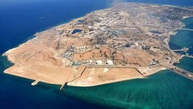 ارتباط فردا