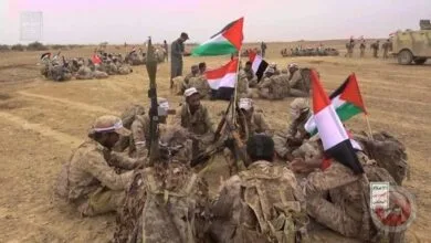 ارتباط فردا