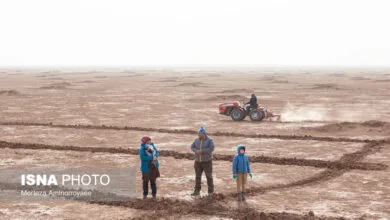 دستگاه‌ها از محل مسئولیت‌های اجتماعی‌شان پای‌کار بیابان‌زدایی بیایند