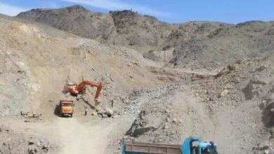 ارتباط فردا