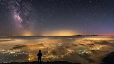 ارتباط فردا