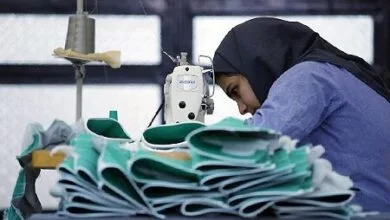 ۲۰۵۰ خدمت حقوقی به مددجویان زنجانی ارائه شده است