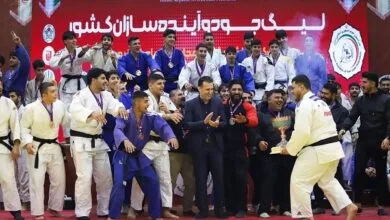 ارتباط فردا