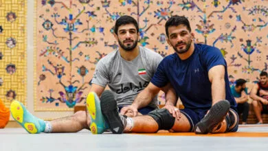 ارتباط فردا