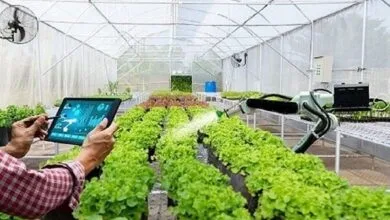 ارتباط فردا