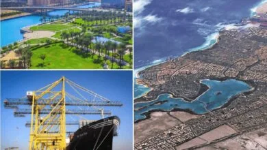 ارتباط فردا
